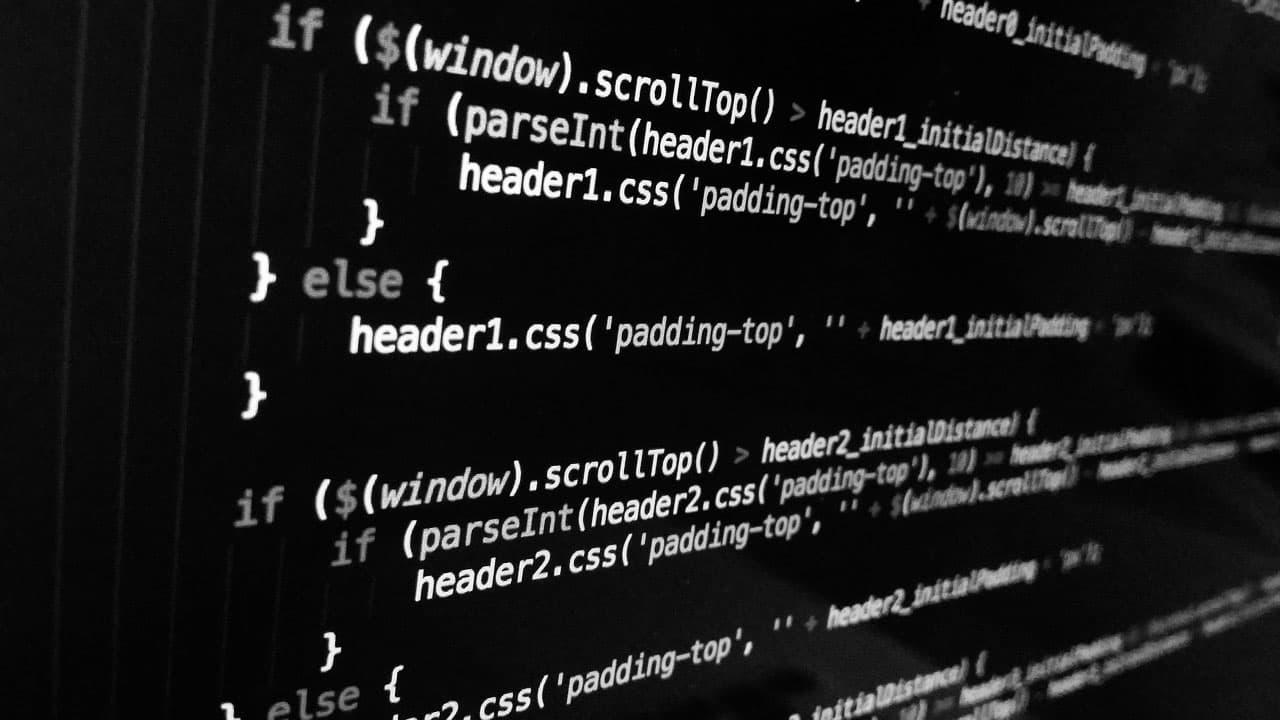 Software Development